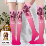 Custom Pet Photo&Name Stockings Women's Socks Personalized Funny Photo Socks Gift