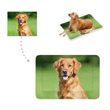 Custom Full Photo Pet Pad